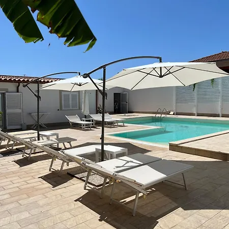 Archiammare Sea Рейтани