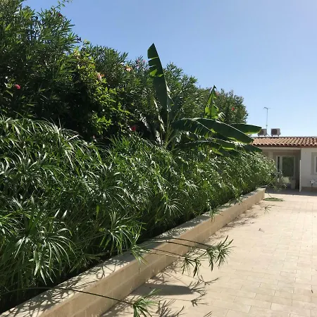 Archiammare Sea Reitani