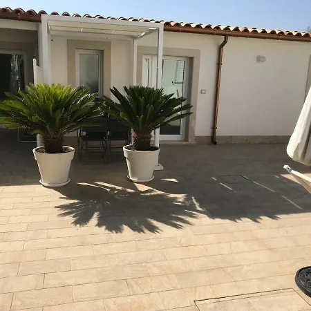Archiammare Sea Reitani