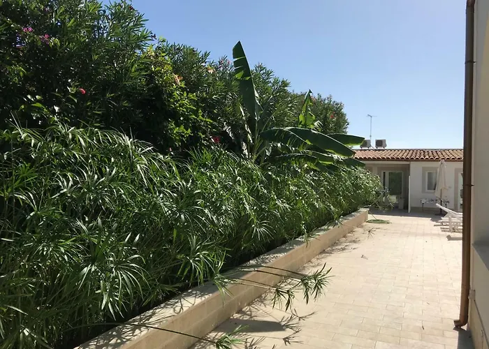 Archiammare Sea Reitani